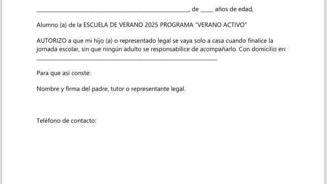 Imagen de archivo: Verano Activo 2025