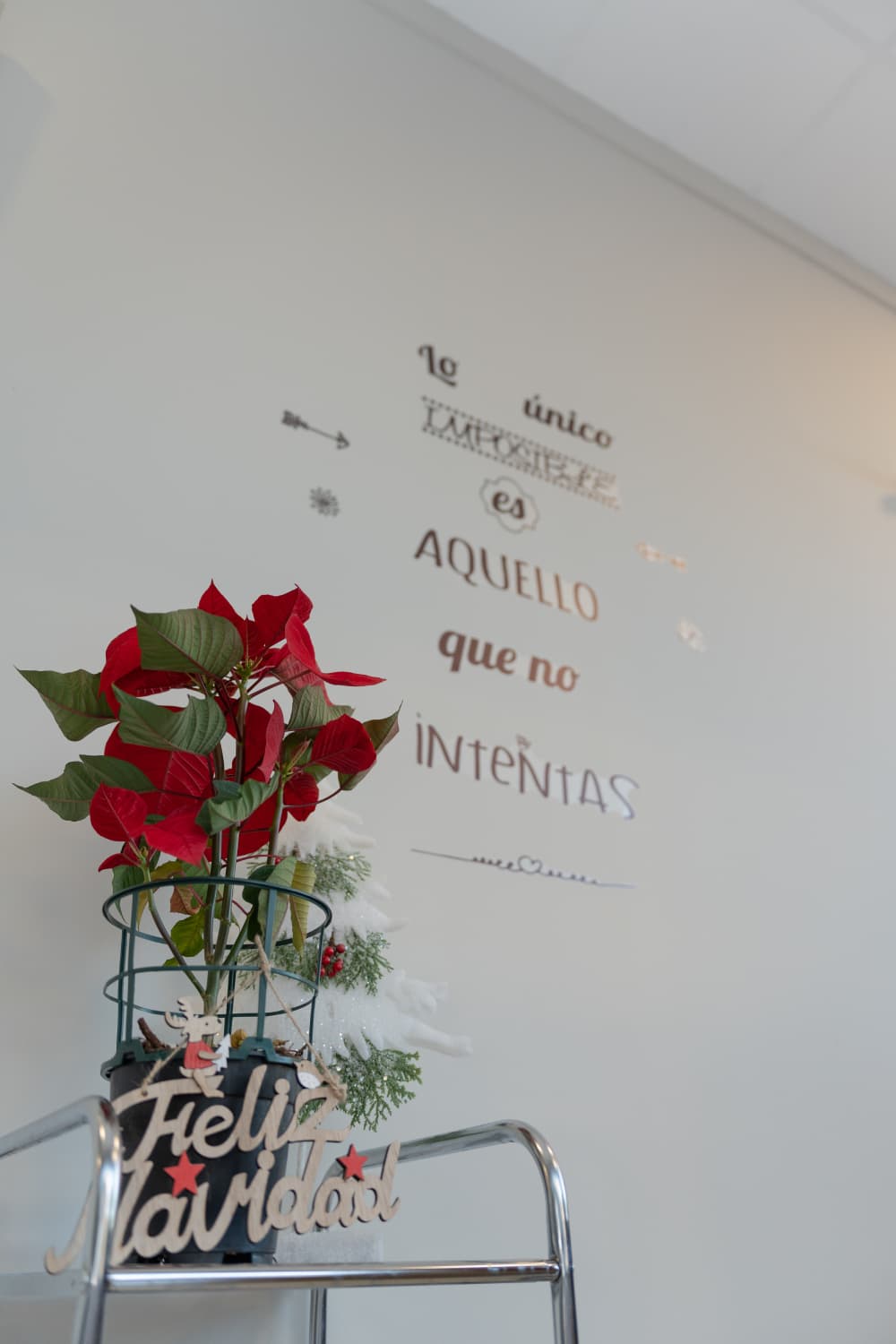 Entrada interior del centro con detalles cuidados y ambiente acogedor